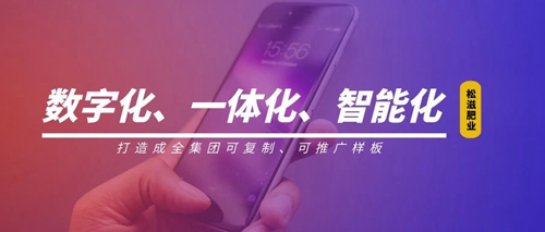 線上辦公零接觸！松滋肥業(yè)信息化在戰(zhàn)“疫”之中顯身手(圖1)