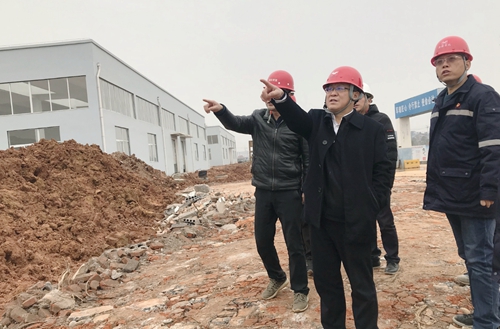 王大真到新材料公司、TPO項目現(xiàn)場和股份公司檢查工作(圖2)