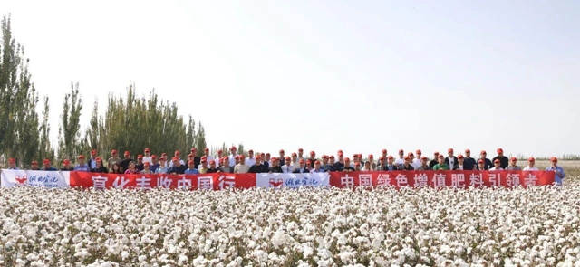 宜化豐收中國(guó)行！新疆棉花大型測(cè)產(chǎn)觀摩會(huì)成功舉行