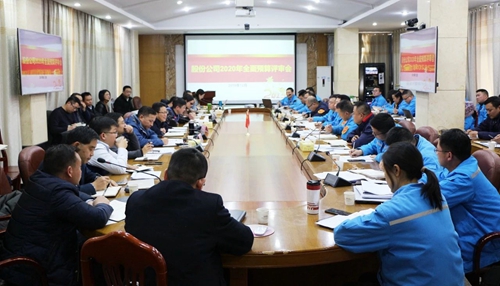 王大真調(diào)研指導(dǎo)股份公司、化機(jī)公司和TMP新項目2020年財務(wù)預(yù)算工作