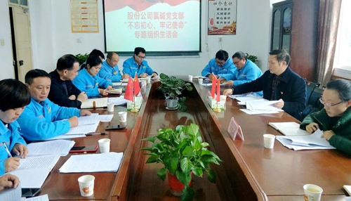 向宇飛列席指導(dǎo)股份公司氯堿黨支部“不忘初心、牢記使命”專題組織生活會