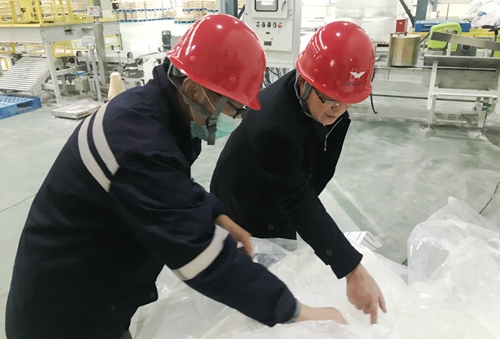 王大真到新材料公司、TPO項目現(xiàn)場和股份公司檢查工作
