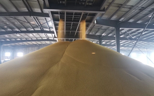 新年新氣象！楚星公司黃色磷酸二銨產品成功下線